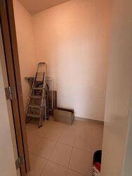 Park Infinia At Wee Nam (D11), Condominium #580907501